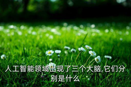 人工智能領(lǐng)域出現(xiàn)了三個大腦,它們分別是什么