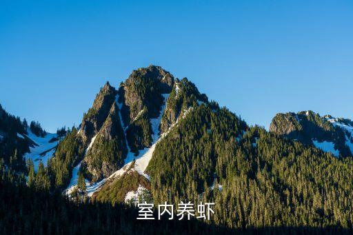 室內(nèi)養(yǎng)蝦