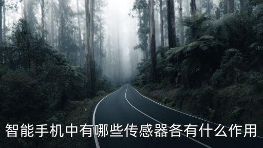 智能手機中有哪些傳感器各有什么作用