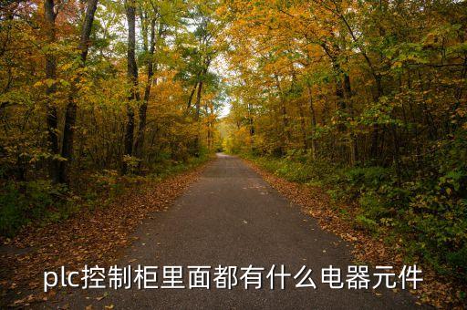 plc控制柜里面都有什么電器元件