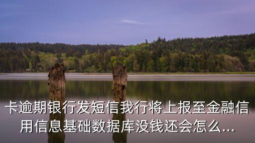 信用卡被出數(shù)據(jù)庫,信用卡數(shù)據(jù)庫的營(yíng)銷策略正在進(jìn)行中