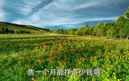 賣自動(dòng)化設(shè)備提成多少,賣裝備一般傭金是多少?
