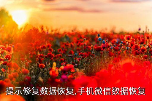 微信提示修復(fù)數(shù)據(jù)恢復(fù),手機(jī)微信數(shù)據(jù)恢復(fù)