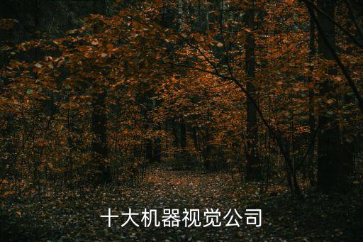 大華有幾款機器人,浙江大華機器人