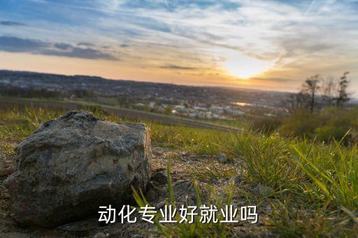 自動(dòng)化專業(yè)行業(yè)排名,中國(guó)自動(dòng)化行業(yè)排名