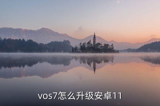 vos7怎么升級(jí)安卓11