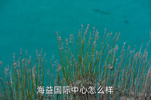海益自動(dòng)化有限公司怎么樣,視海自動(dòng)化有限公司