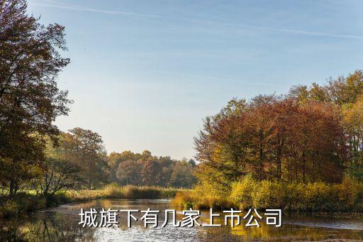 上市的自動(dòng)化設(shè)備有限公司,卓藍(lán)自動(dòng)化設(shè)備股份有限公司上市