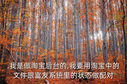 .我是做淘寶后臺的,我要用淘寶中的文件跟富友系統(tǒng)里的狀態(tài)做配對