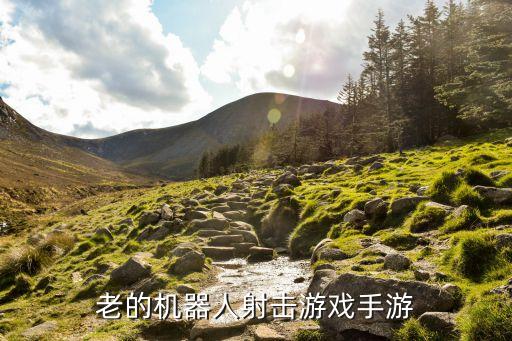 sml機(jī)器人游戲代幣,機(jī)器人游戲代碼