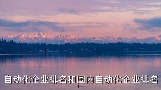 自動化企業(yè)排名和國內(nèi)自動化企業(yè)排名