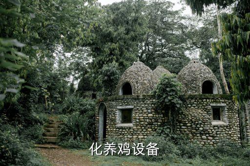 四川批發(fā)自動化養(yǎng)雞清糞設(shè)備,河南自動養(yǎng)雞設(shè)備批發(fā)