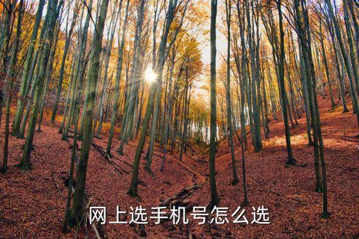 網(wǎng)上選手機(jī)號(hào)怎么選
