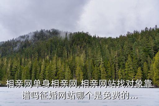 相親網(wǎng)單身相親網(wǎng),相親網(wǎng)站找對象靠譜嗎征婚網(wǎng)站哪個是免費的...
