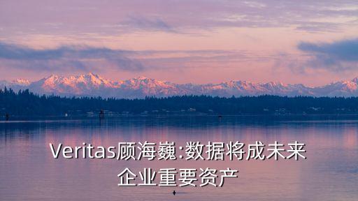 Veritas顧海巍:數(shù)據(jù)將成未來(lái)企業(yè)重要資產(chǎn)