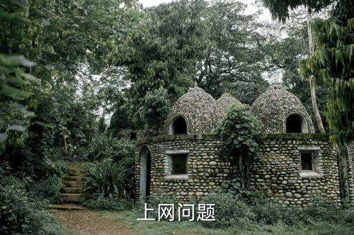 無(wú)線數(shù)據(jù)業(yè)務(wù)中漫入,行業(yè)專用無(wú)線數(shù)據(jù)終端