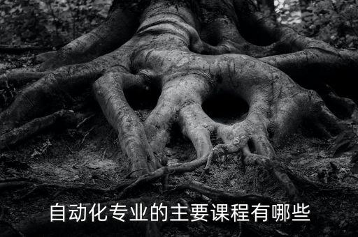 自動化專業(yè)的主要課程有哪些