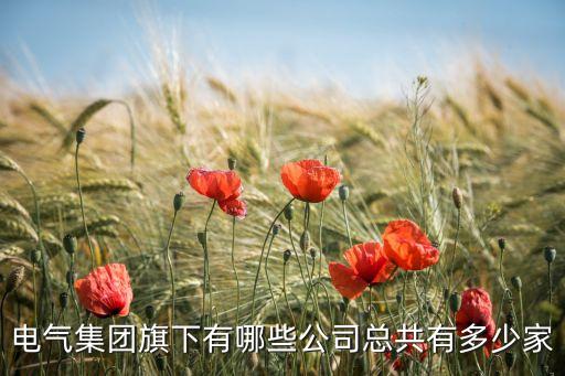 電氣集團(tuán)旗下有哪些公司總共有多少家