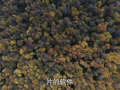 看胸的軟件,有什么軟件可以美化圖片來豐胸?
