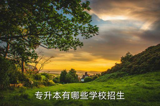 遼寧省專升本電氣自動化在哪考試,電氣自動化技術(shù)