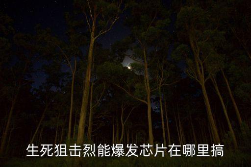 生死狙擊烈能爆發(fā)芯片在哪里搞