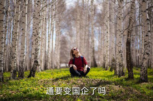 迪信通 數(shù)據(jù),10026迪信通