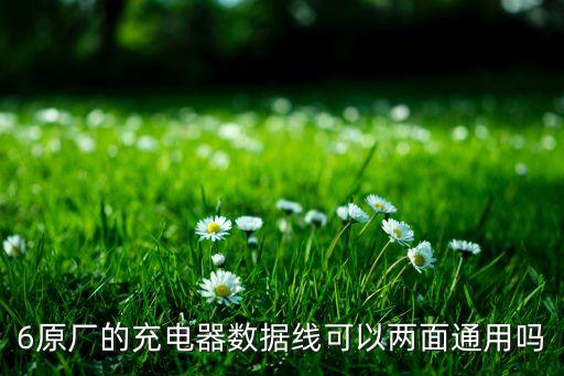 iphone6數(shù)據(jù)線不分正反,蘋果的數(shù)據(jù)線是對(duì)是錯(cuò)?