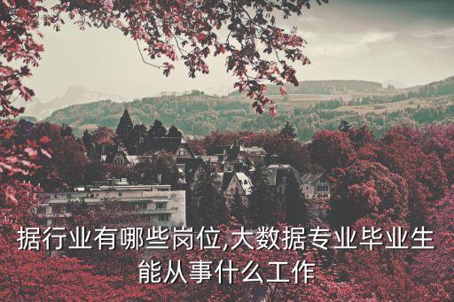 大數(shù)據(jù)行業(yè)有哪些崗位,大數(shù)據(jù)專(zhuān)業(yè)畢業(yè)生能從事什么工作?