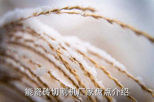 能瓷磚切割機(jī)廠家盤點介紹