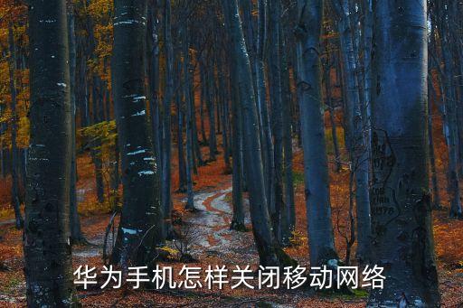 華為手機怎樣關閉移動網(wǎng)絡