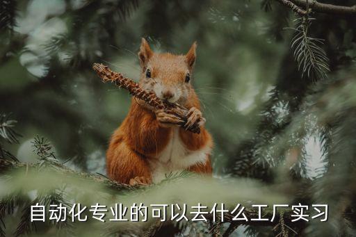 自動(dòng)化專業(yè)的可以去什么工廠實(shí)習(xí)