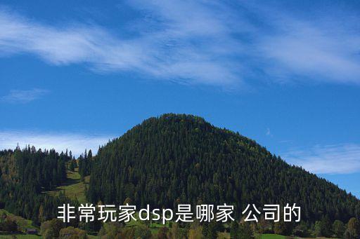 非常玩家dsp是哪家 公司的