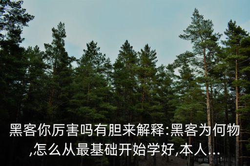 腳本小子,如何進入別人的網(wǎng)站修改數(shù)據(jù)?