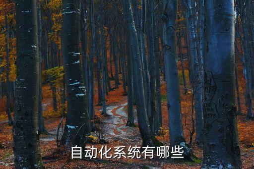 自動(dòng)化系統(tǒng)有哪些