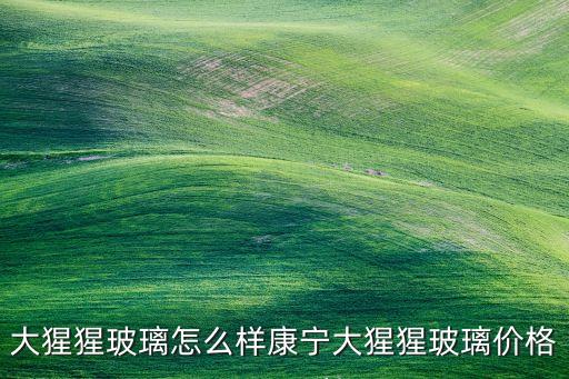 康寧大猩猩,藍(lán)猩和康寧大猩猩,有什么關(guān)系?