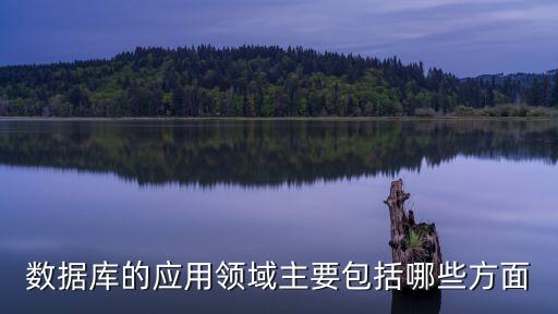 人物數據庫需要擴展,大數據庫涵蓋了什么?
