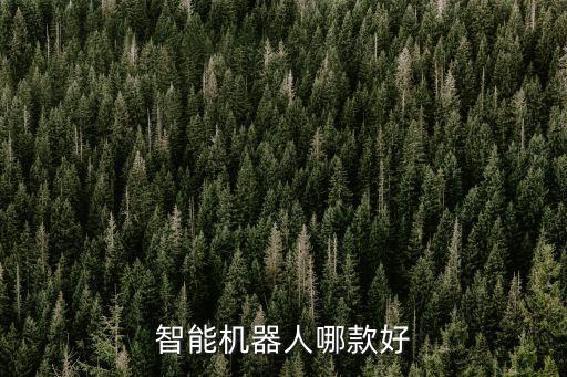 智能機器人玩具luka,luka繪本機器人不能充電