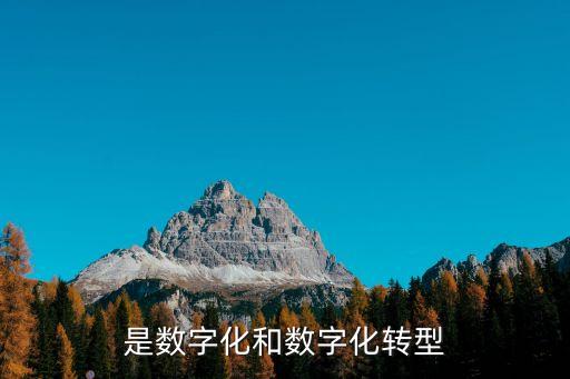 是數(shù)字化和數(shù)字化轉(zhuǎn)型