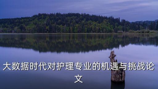 大數(shù)據(jù)時代對護理專業(yè)的機遇與挑戰(zhàn)論文