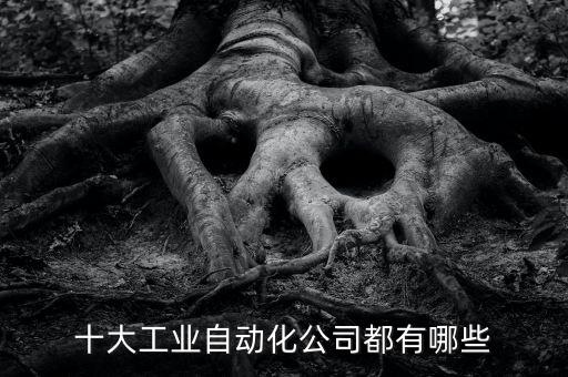 十大工業(yè)自動(dòng)化公司都有哪些