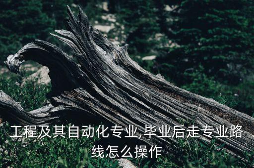 工程及其自動化專業(yè),畢業(yè)后走專業(yè)路線怎么操作