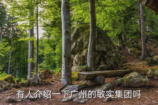 廣州機器人自動化有限公司,國內(nèi)的機器人公司有哪些?