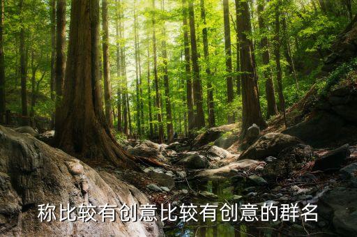 稱比較有創(chuàng)意比較有創(chuàng)意的群名