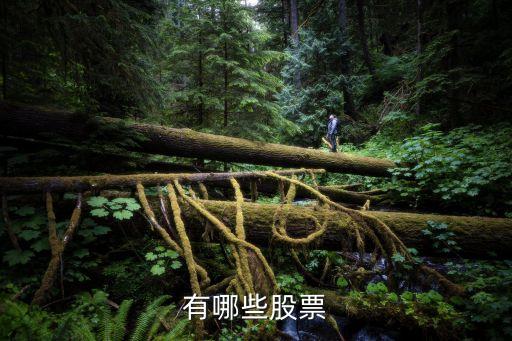 有哪些股票