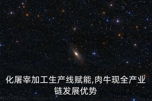 化屠宰加工生產(chǎn)線賦能,肉?，F(xiàn)全產(chǎn)業(yè)鏈發(fā)展優(yōu)勢(shì)