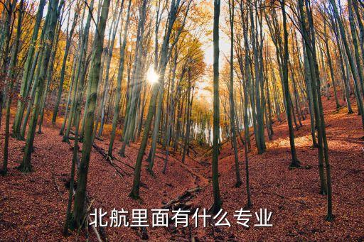 北航里面有什么專業(yè)