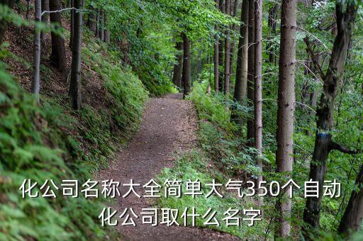 化公司名稱大全簡單大氣350個自動化公司取什么名字
