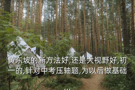 湖南大視野影像自動(dòng)化設(shè)備,《學(xué)法大視野》湖南版好不好?