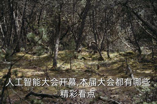 世界機器人大會 火爆,北京世界機器人大會