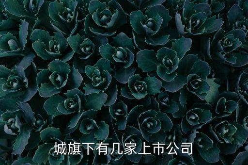 城旗下有幾家上市公司
